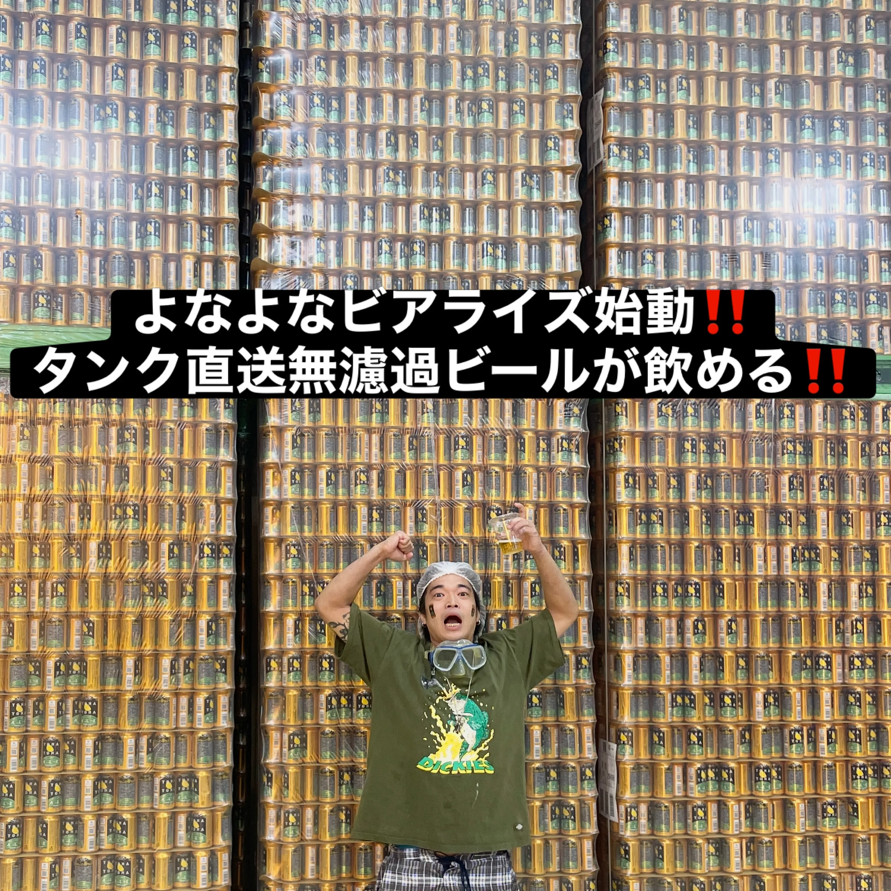 【よなよのビアライズ始動‼️】